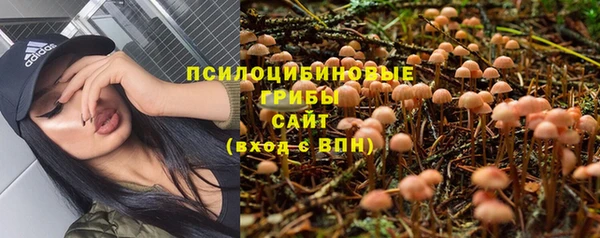 молекула духа Алзамай