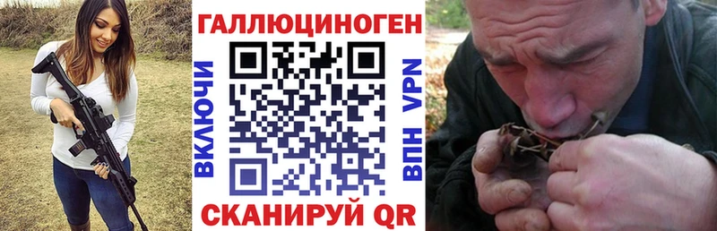 что такое наркотик  Черемхово  гидра ТОР  Псилоцибиновые грибы прущие грибы 